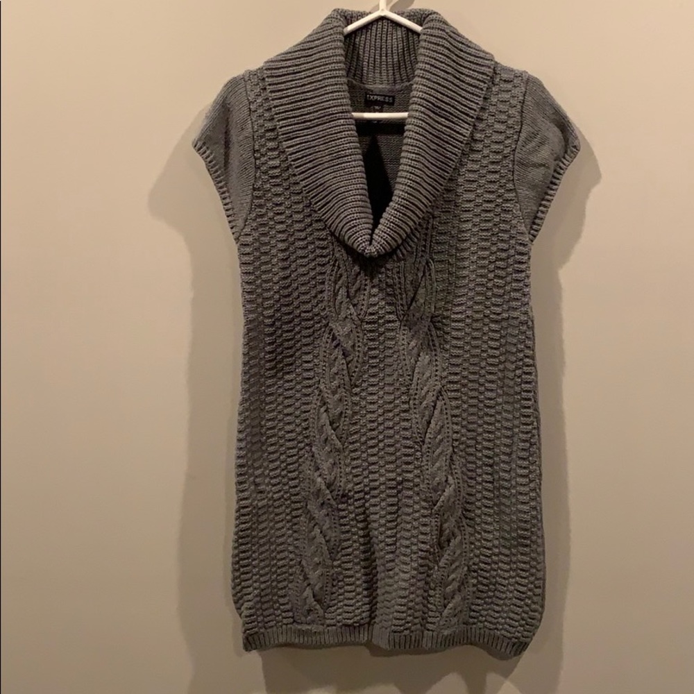 Express sweater dress